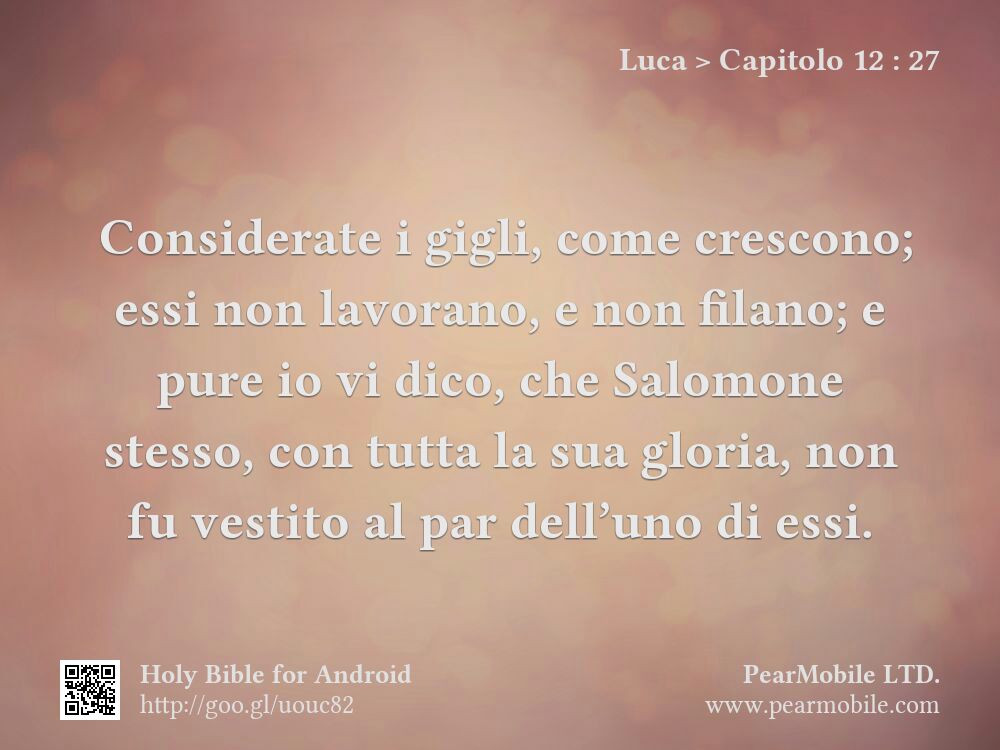 Luca, Capitolo 12:27